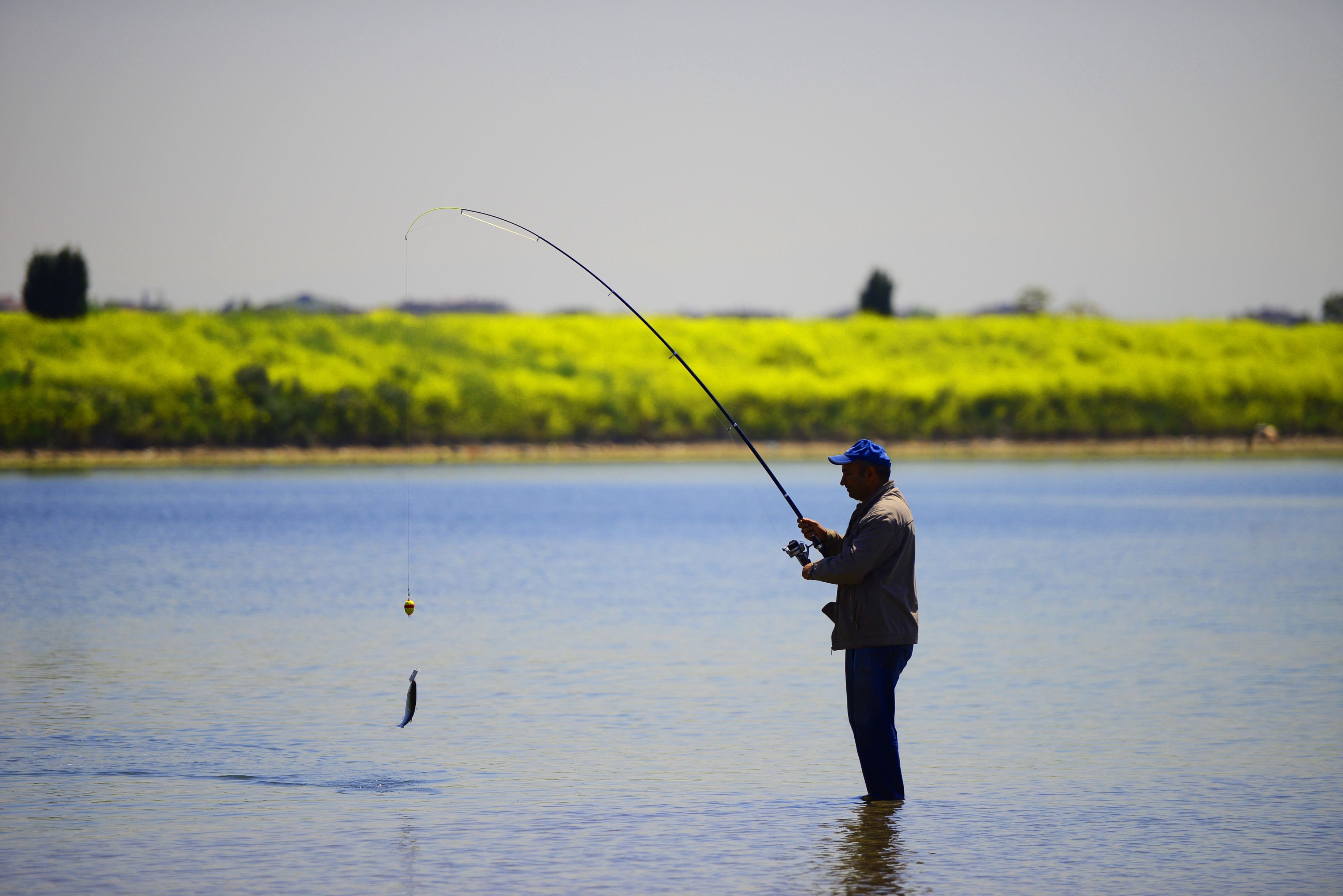 Person fishing in a sunny river