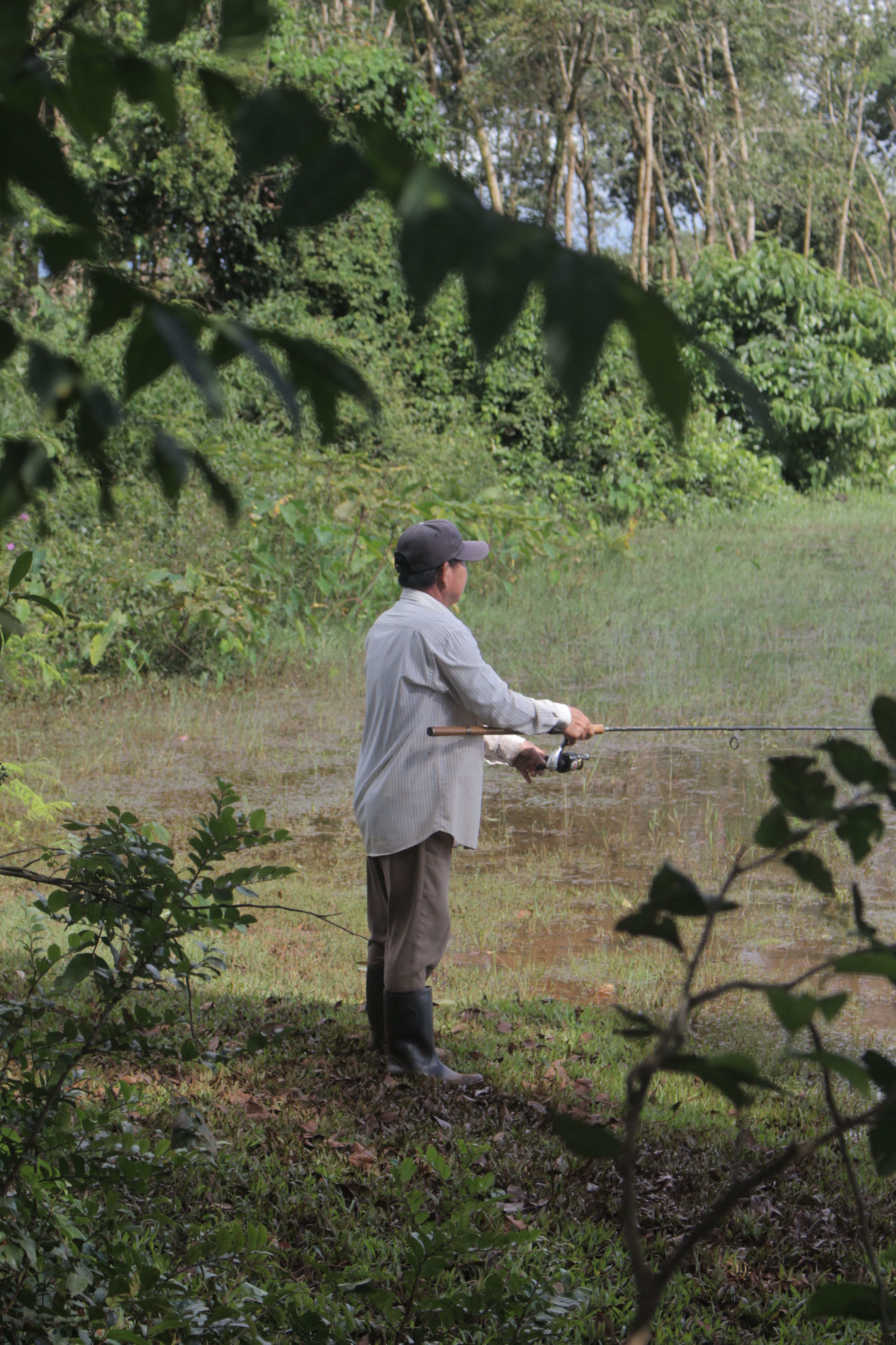 Angler fishing on a calm lake surrounded by trees